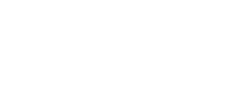 若手の挑戦を後押しし、サポートしてくれる環境。
